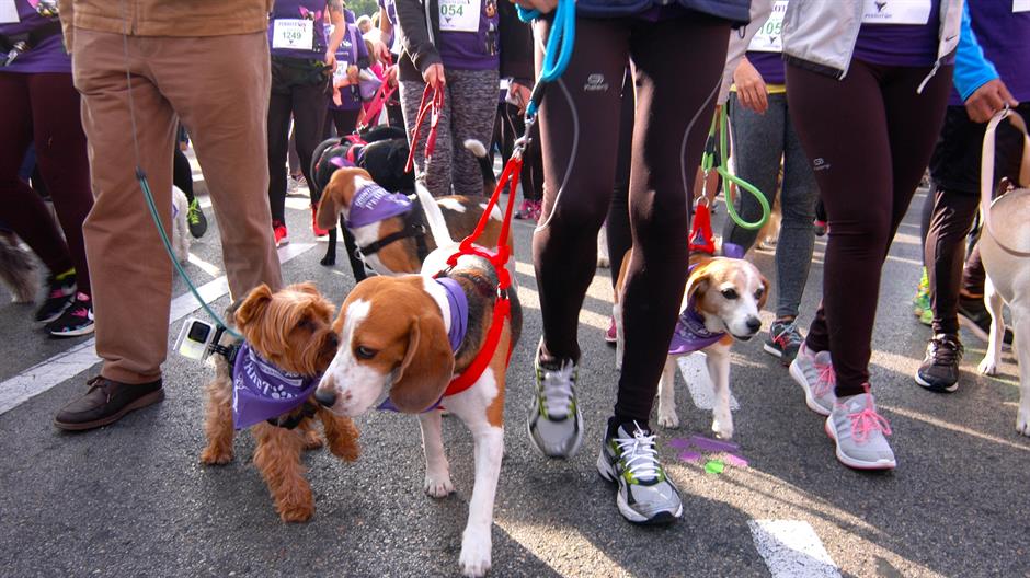 20161016_2_19596778_15080289