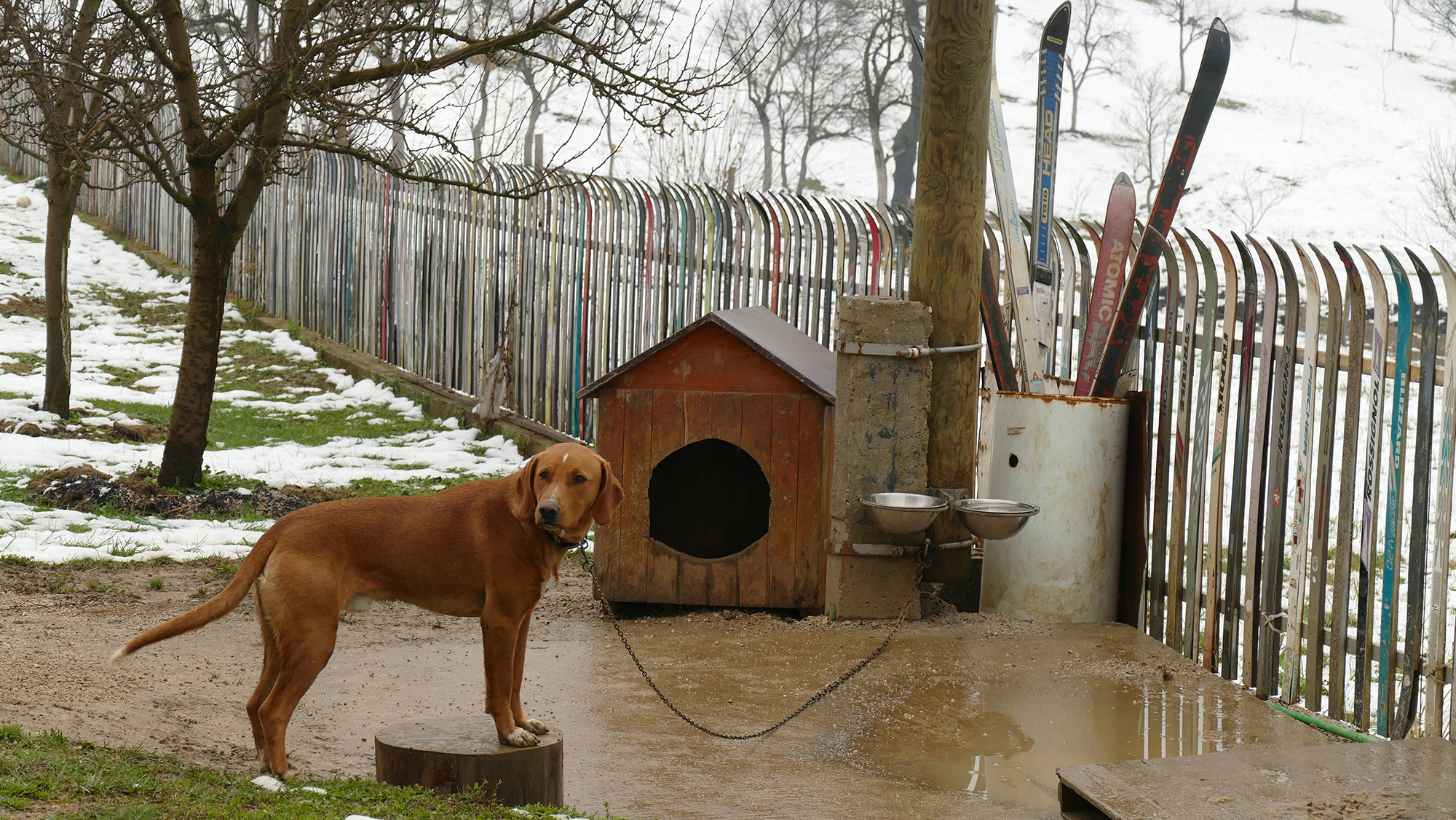 20161113_2_20114873_15990238