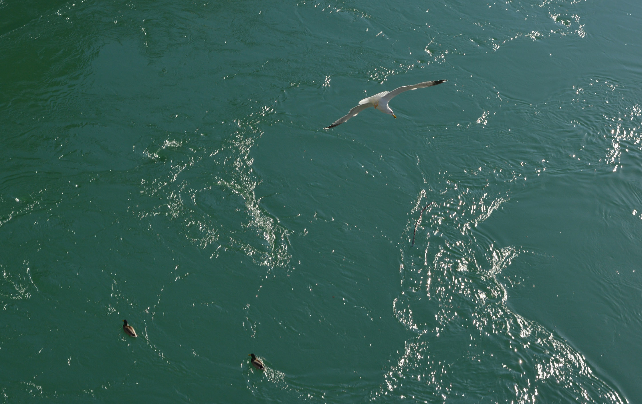 20161123_2_20293894_16301909