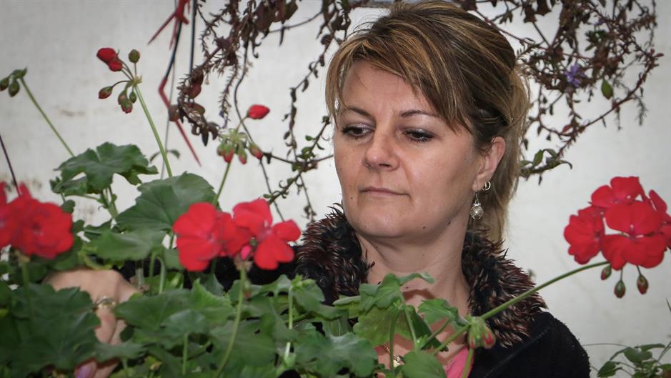 20161127_2_20376569_16440841