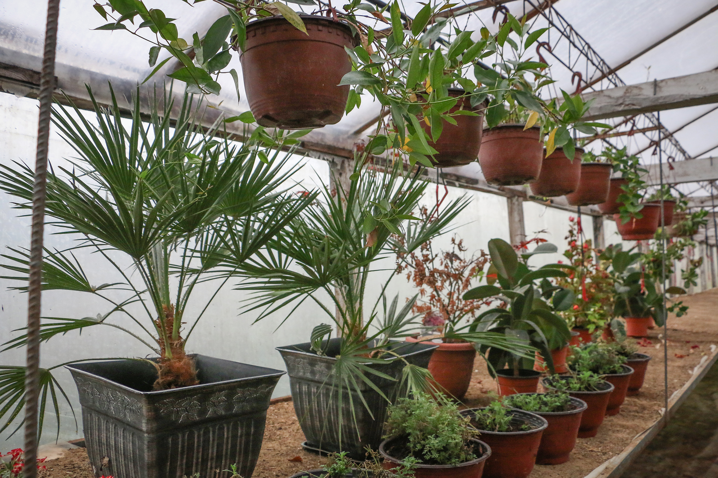 20161127_2_20376569_16440845