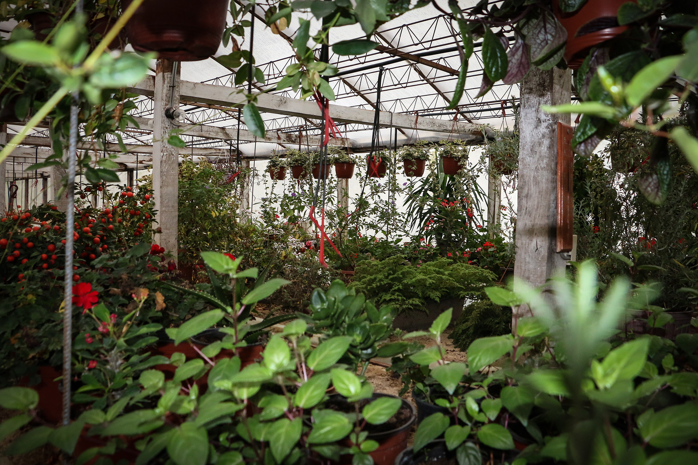 20161127_2_20376569_16440847