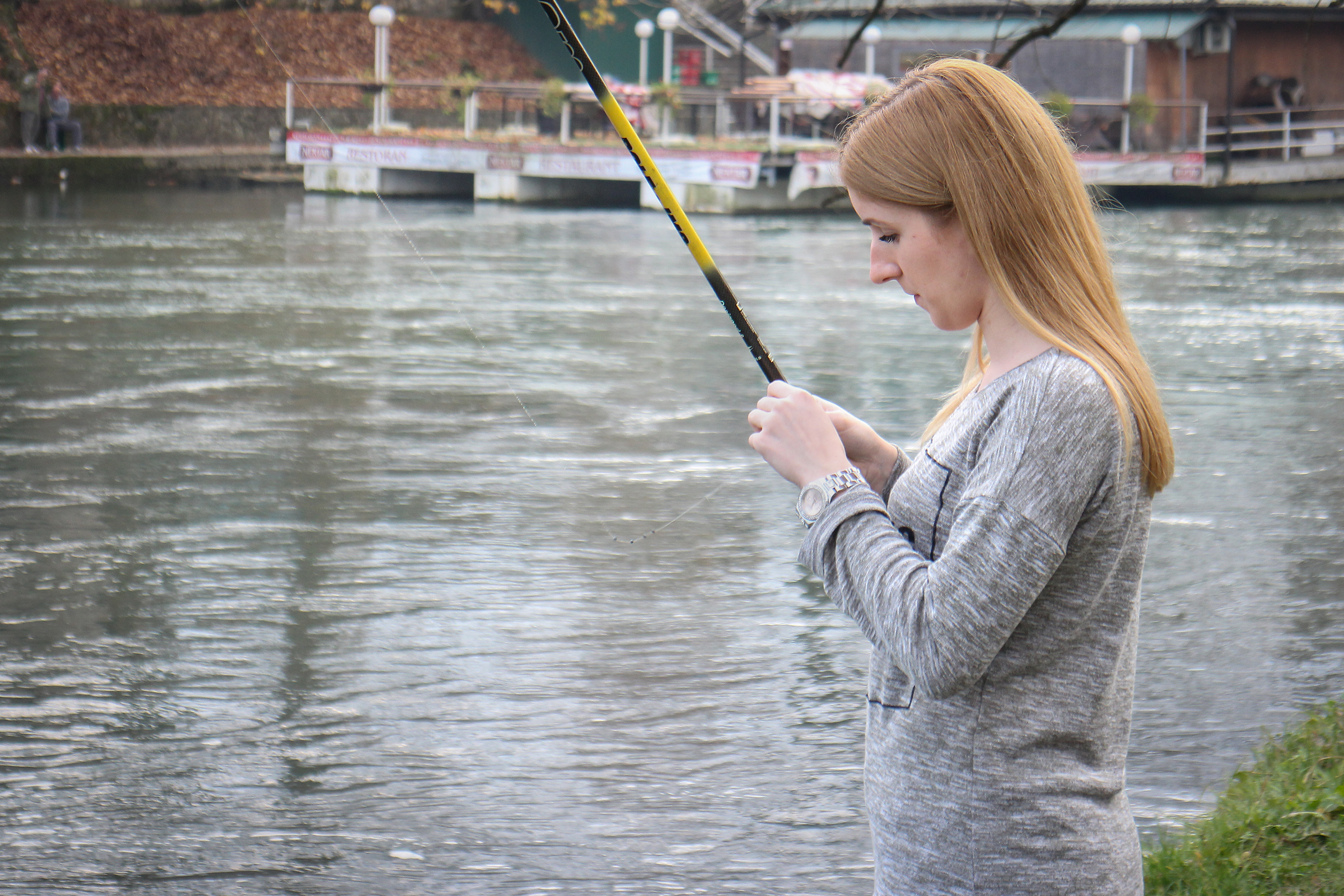 20161203_2_20488755_16626215