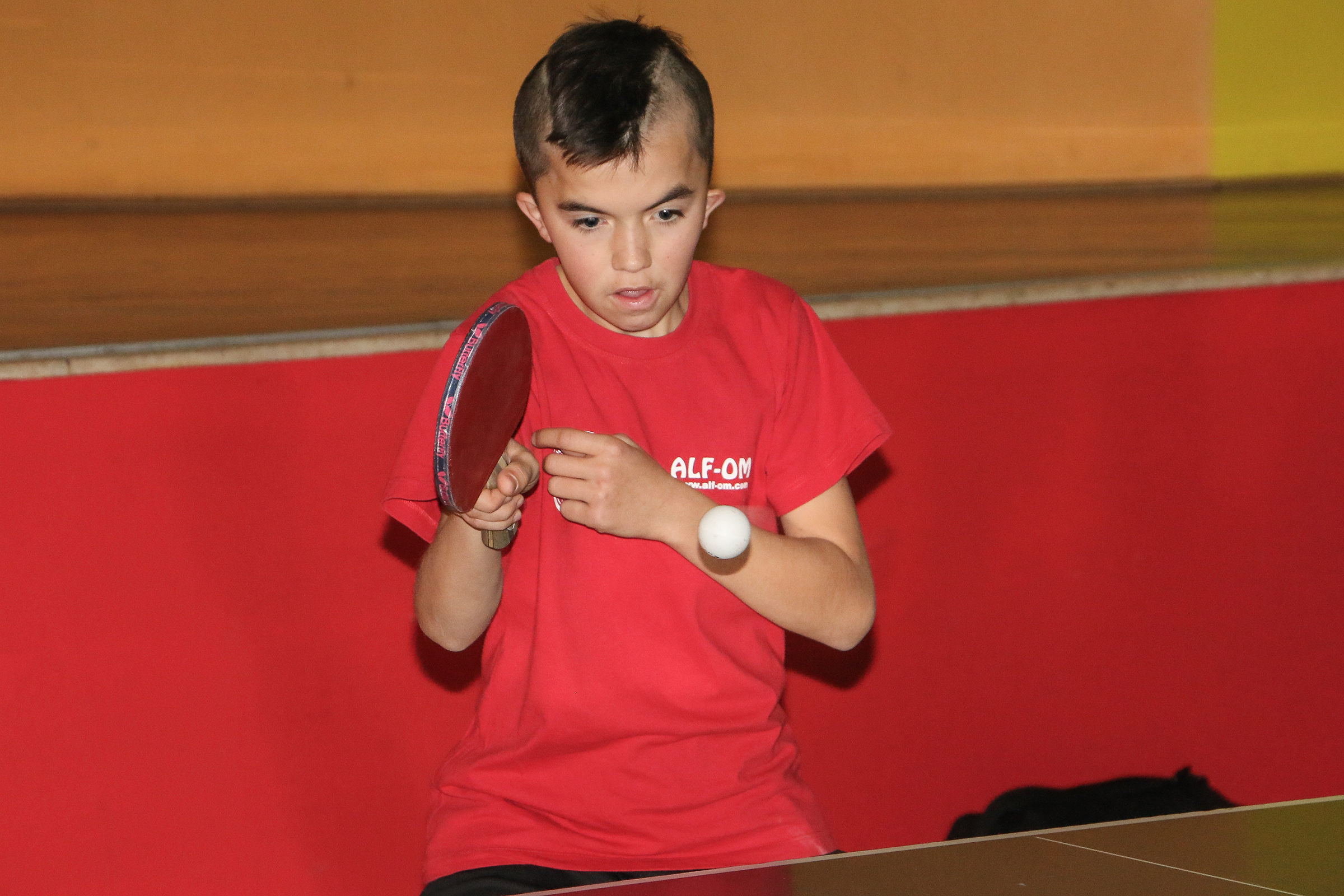 20161204_2_20495207_16640834