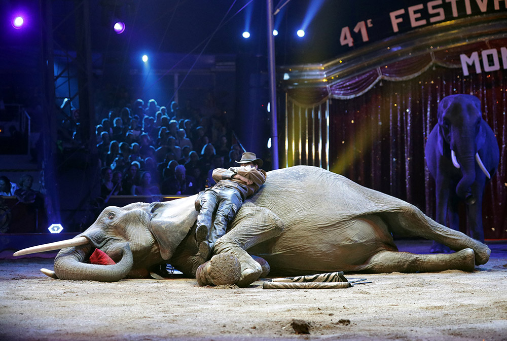 2017-01-25T024015Z_683886904_RC143C50C8E0_RTRMADP_3_MONACO-CIRCUS