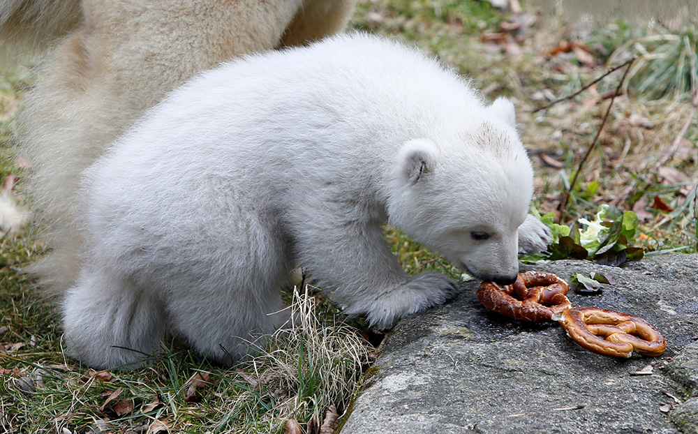 REUTERS/Michaela Rehle