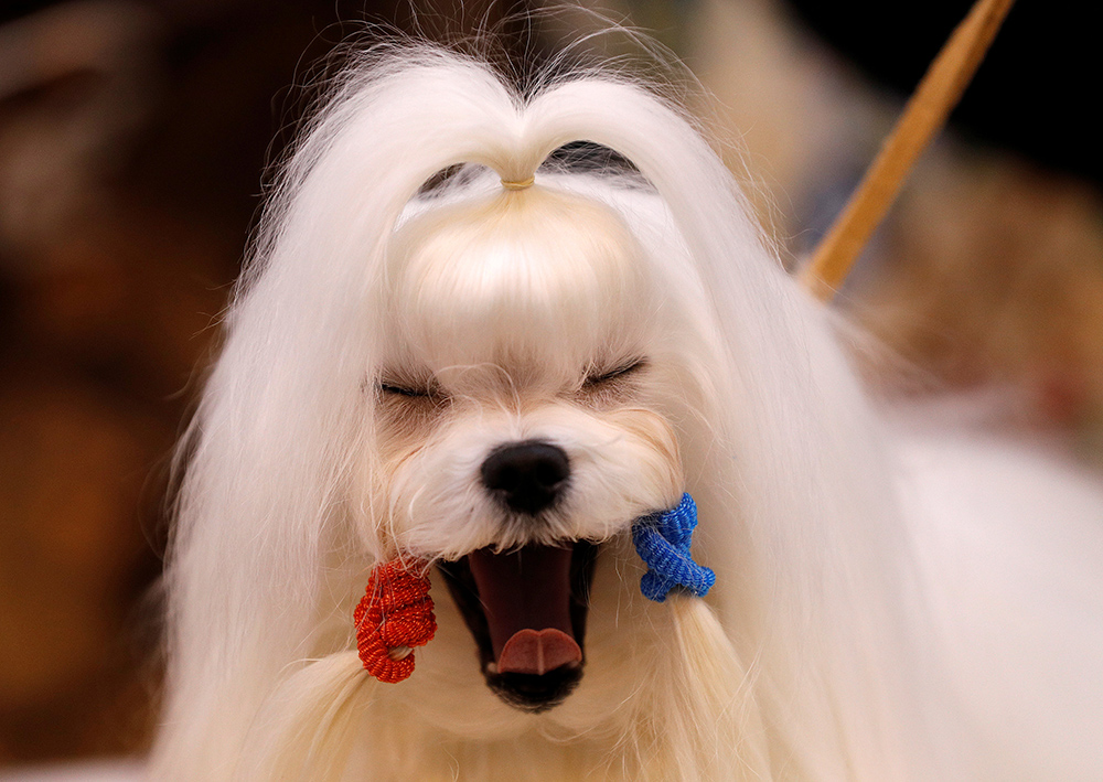 REUTERS/Darren Staples