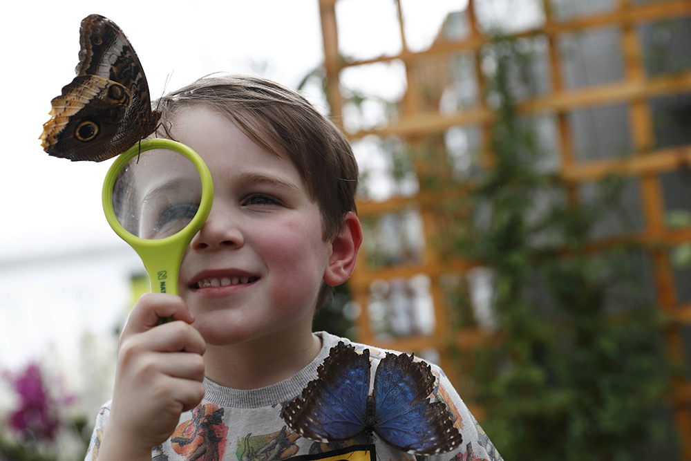 2017-03-30T143048Z_709280156_LR1ED3U14B1AO_RTRMADP_3_BRITAIN-ODDLY