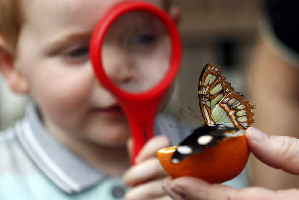 2017-03-30T143146Z_718120901_LR1ED3U14CNAW_RTRMADP_3_BRITAIN-ODDLY