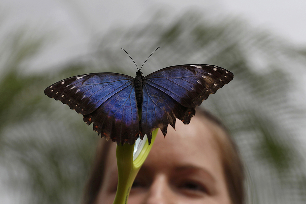 REUTERS/Stefan Wermuth