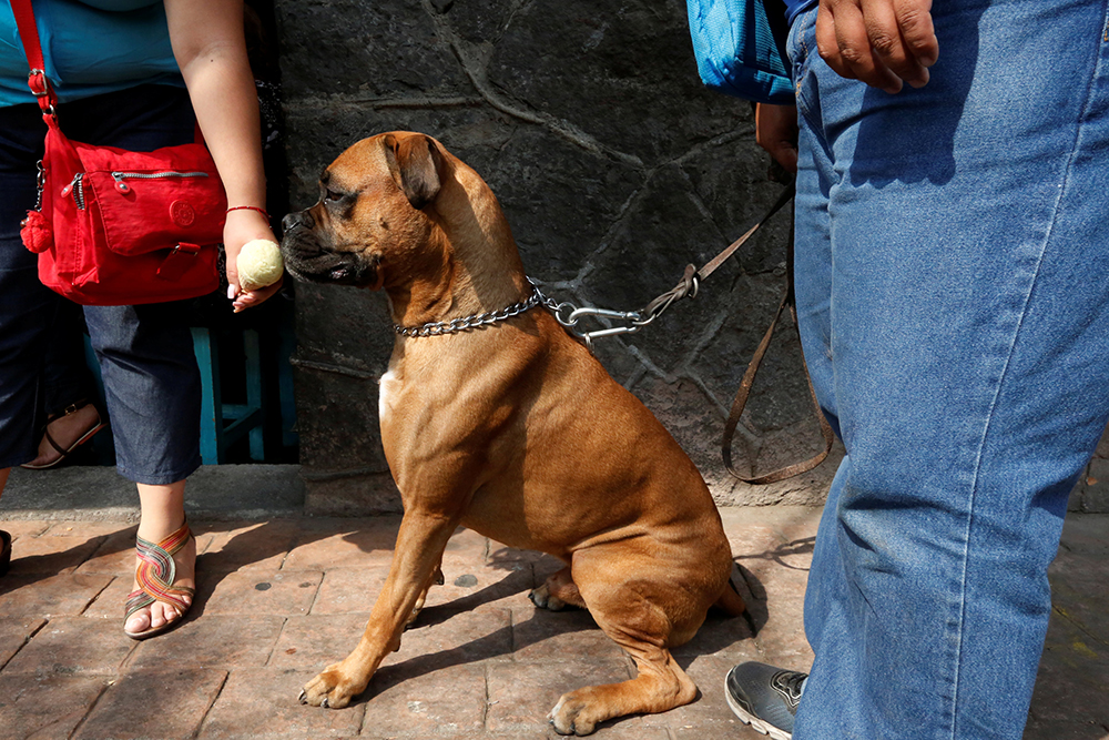 REUTERS/Carlos Jasso