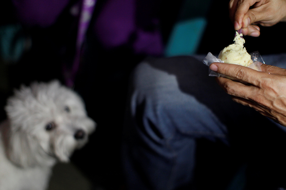 REUTERS/Carlos Jasso