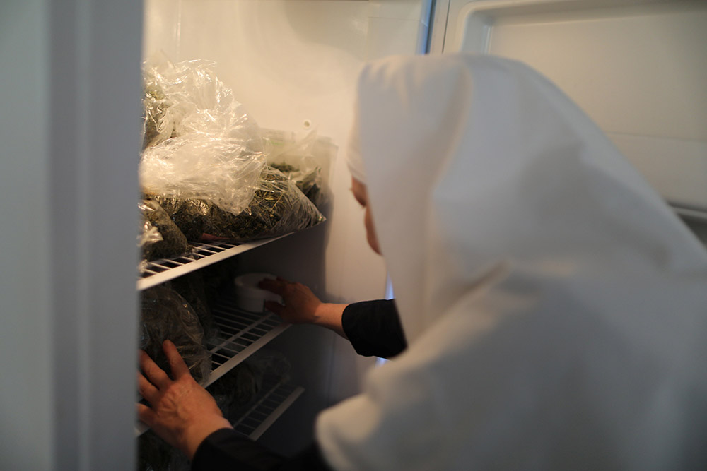 REUTERS/Lucy Nicholson