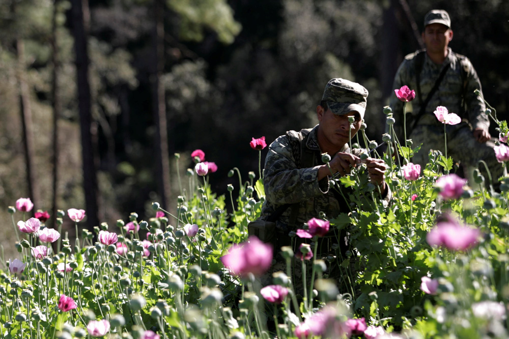 Reuters/Henry Romero