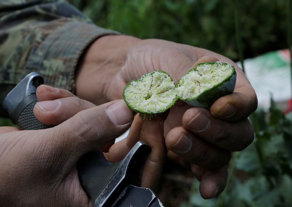 Reuters/Henry Romero