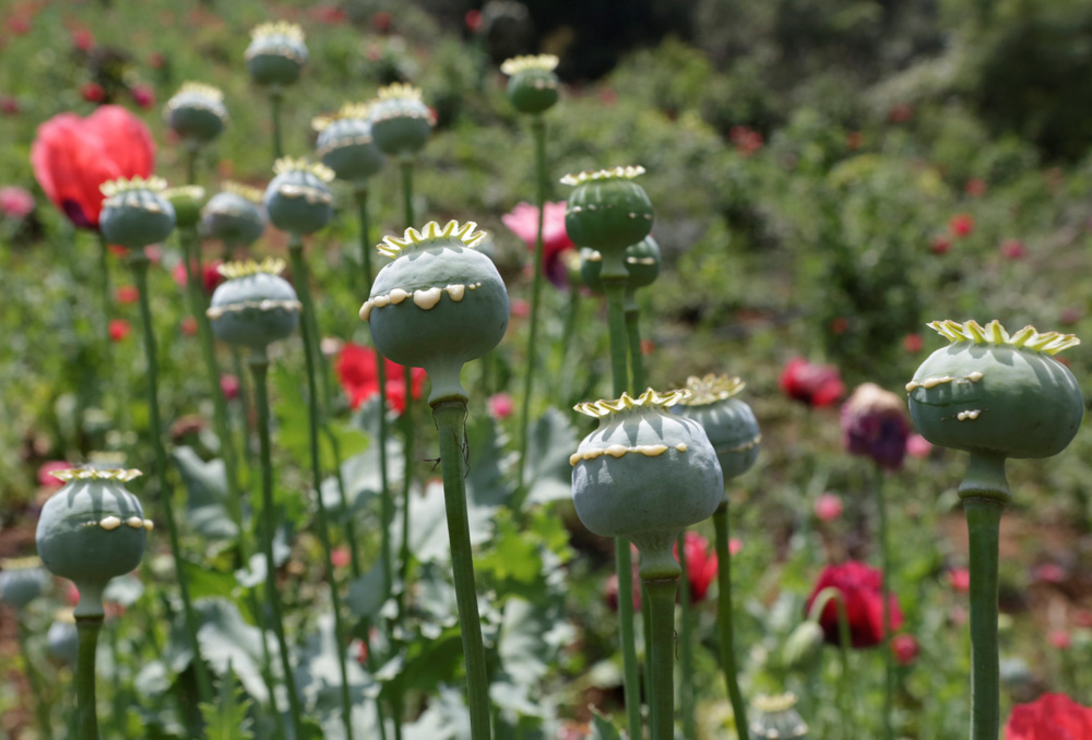 Reuters/Henry Romero