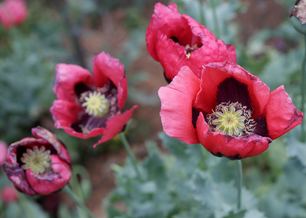 Reuters/Henry Romero