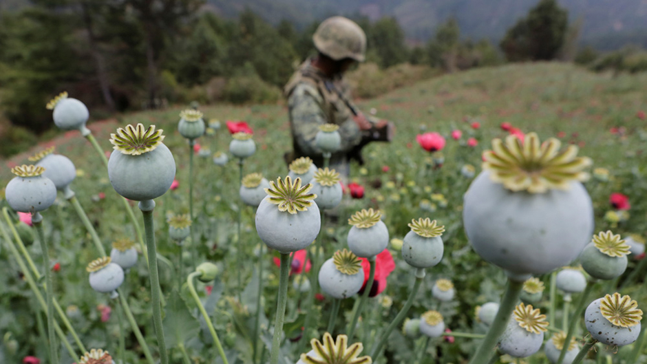 2017-05-08T053638Z_1068490988_RC1FD4F64100_RTRMADP_3_USA-MEXICO-HEROIN 1