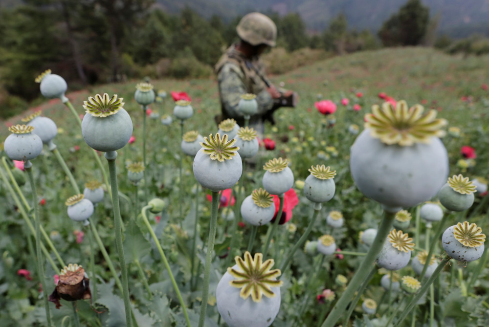 Reuters/Henry Romero