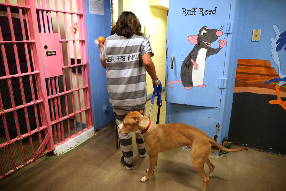 REUTERS/Lucy Nicholson