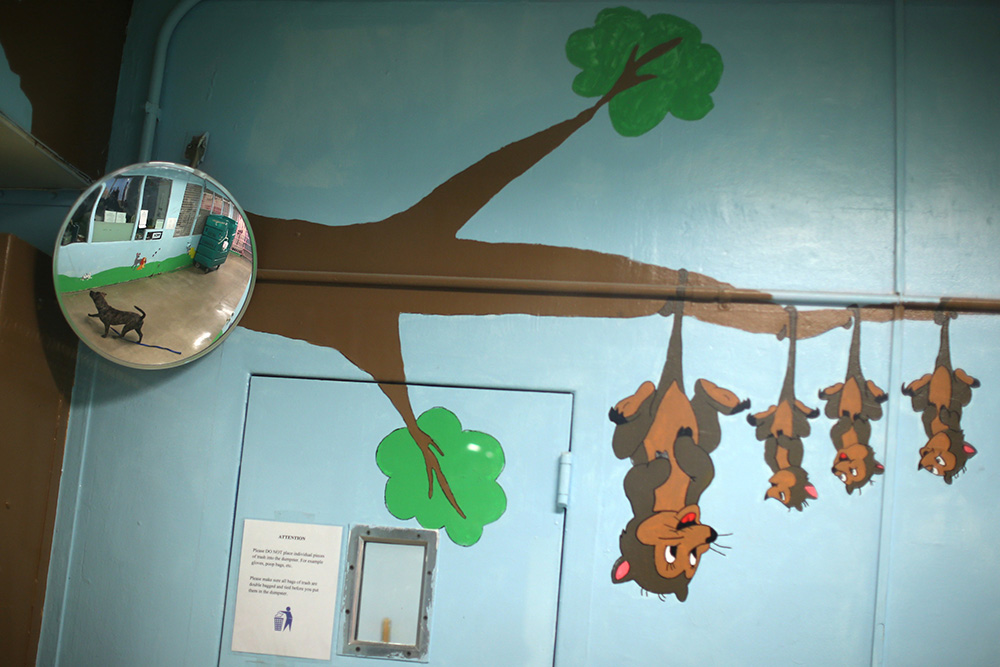 REUTERS/Lucy Nicholson