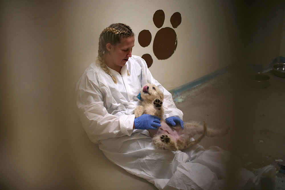 REUTERS/Lucy Nicholson