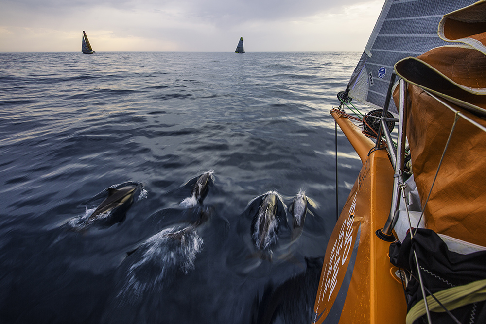 REUTERS/Amory Ross/Team Alvimedica/Volvo Ocean Race