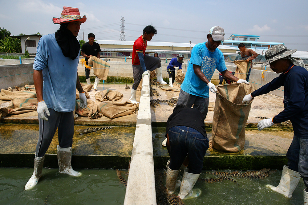 REUTERS/Athit Perawongmetha