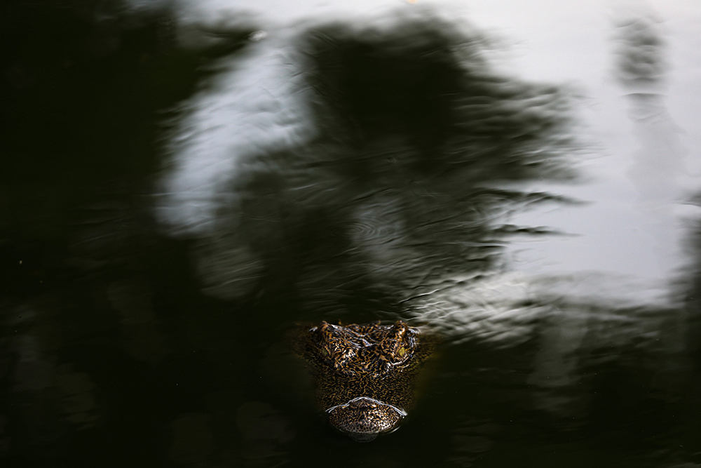 REUTERS/Athit Perawongmetha