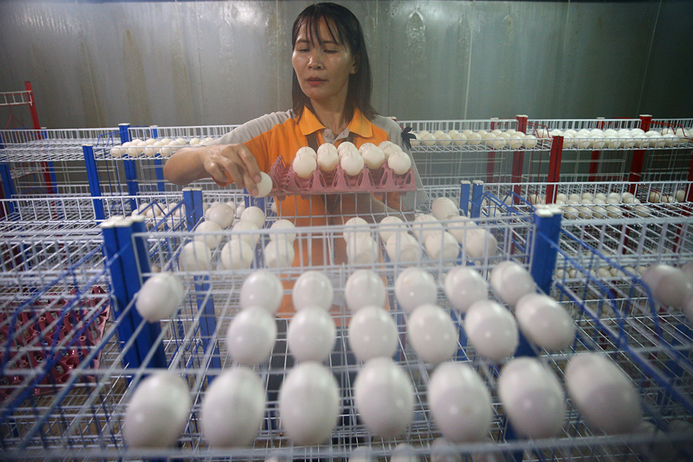 REUTERS/Athit Perawongmetha