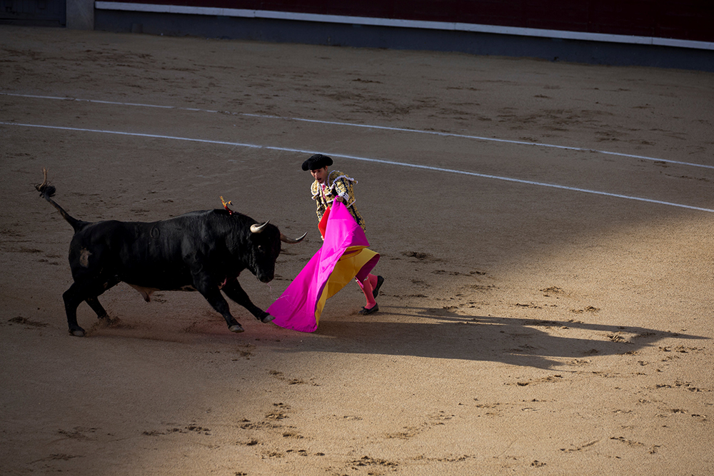 2017-07-26T090407Z_1627314167_RC1935E3E820_RTRMADP_3_SPAIN-CULTURE-BULLFIGHTER