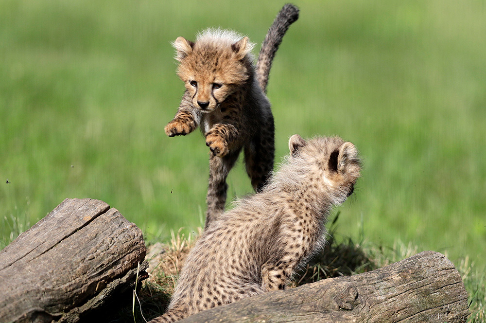 REUTERS/David W Cerny