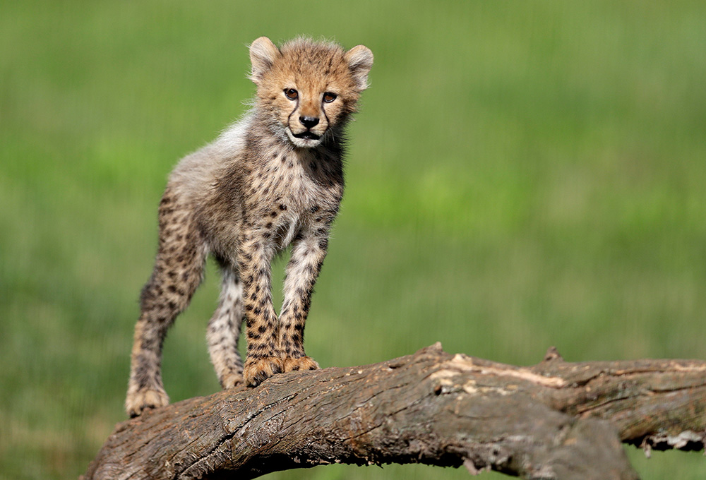 REUTERS/David W Cerny