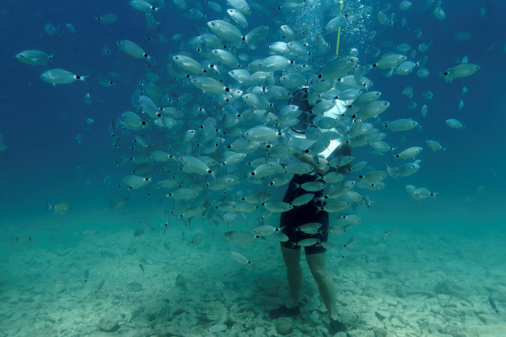 REUTERS/Antonio Bronić