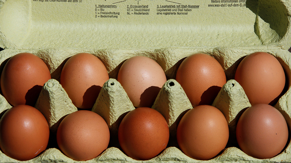 2017-08-04T112713Z_2116472554_RC13C6CE6850_RTRMADP_3_NETHERLANDS-GERMANY-EGGS