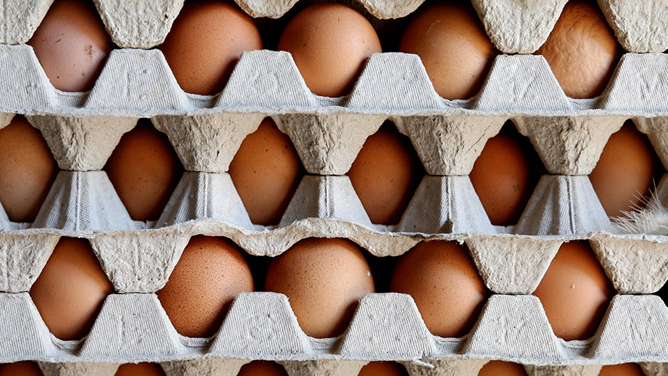 2017-08-07T173530Z_1624184963_RC1A09F4B830_RTRMADP_3_EUROPE-EGGS