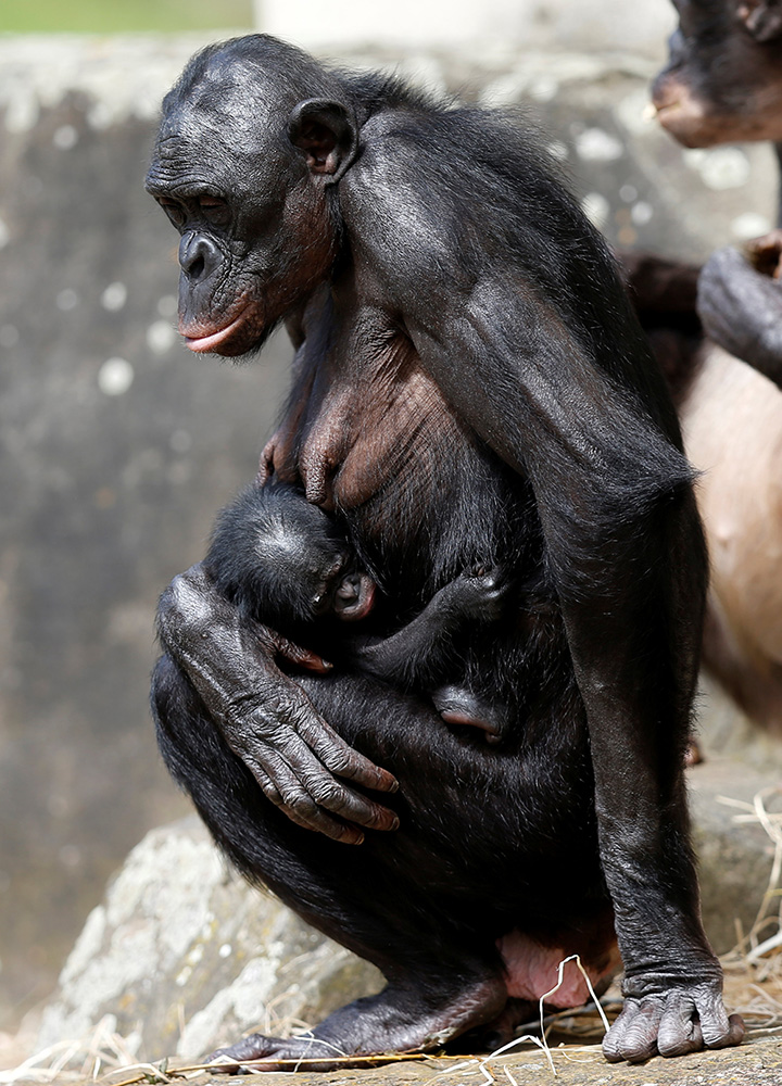 REUTERS/Francois Lenoir