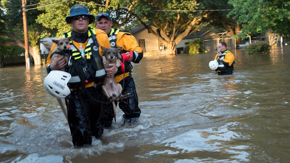 2017-09-02T020034Z_1895513390_RC1640400020_RTRMADP_3_STORM-HARVEY