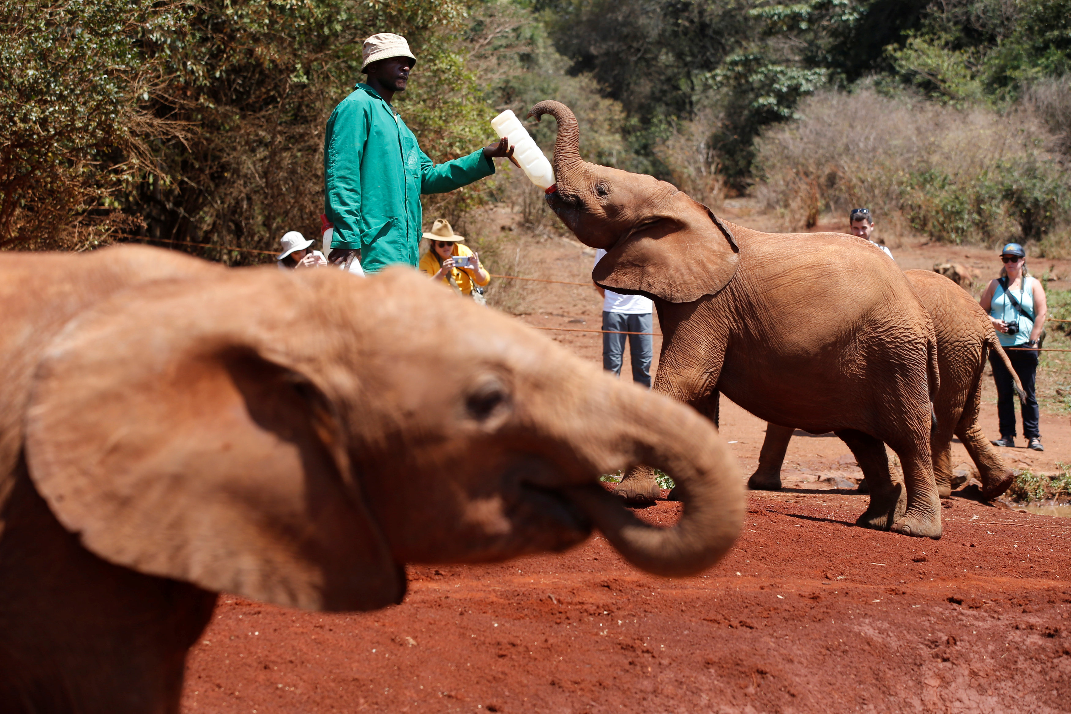 2017-09-18T123156Z_1977482123_RC135F4BC830_RTRMADP_3_KENYA-ANIMALS