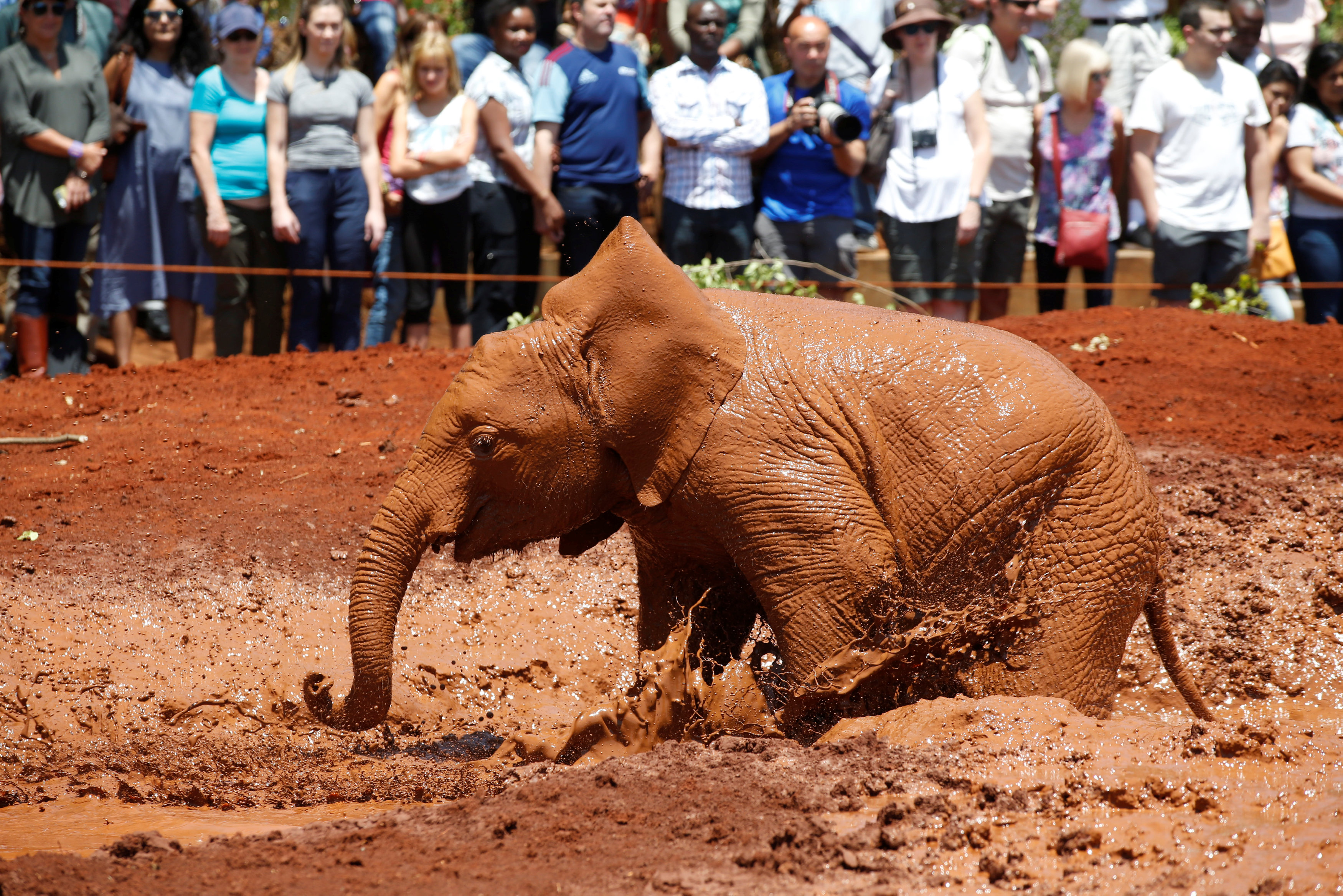 2017-09-18T123205Z_1058705138_RC1BB9F34380_RTRMADP_3_KENYA-ANIMALS