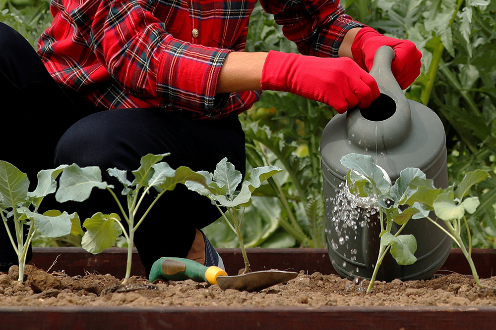 Reuters/Jonathan Ernst