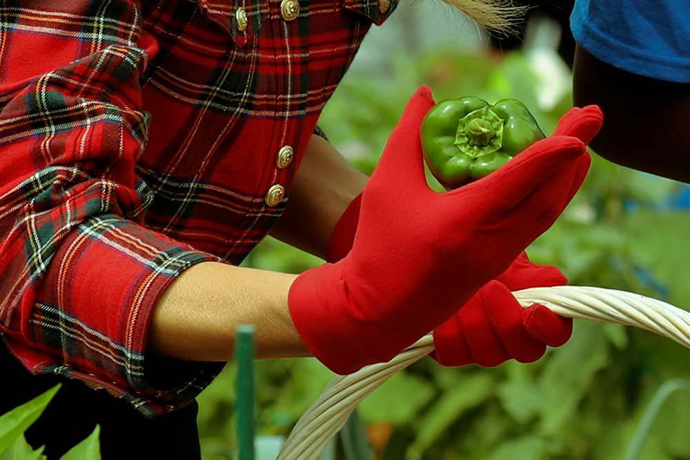 Reuters/Jonathan Ernst