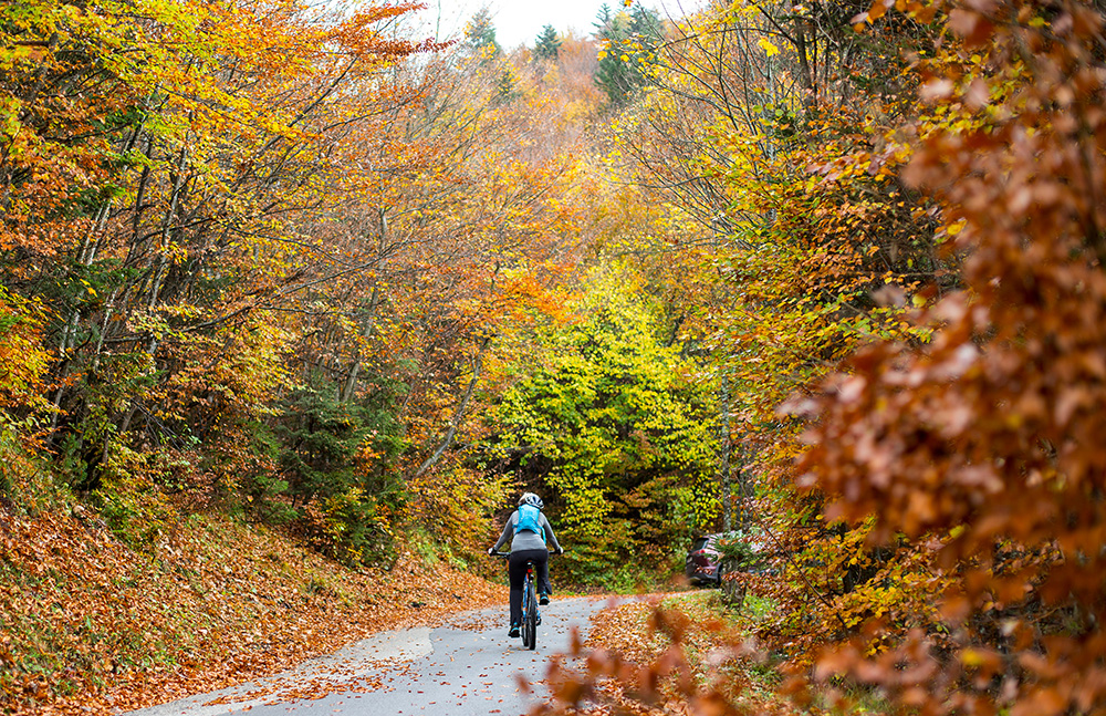 2017-10-07T100023Z_941093062_RC111A0236E0_RTRMADP_3_AUSTRIA-WEATHER