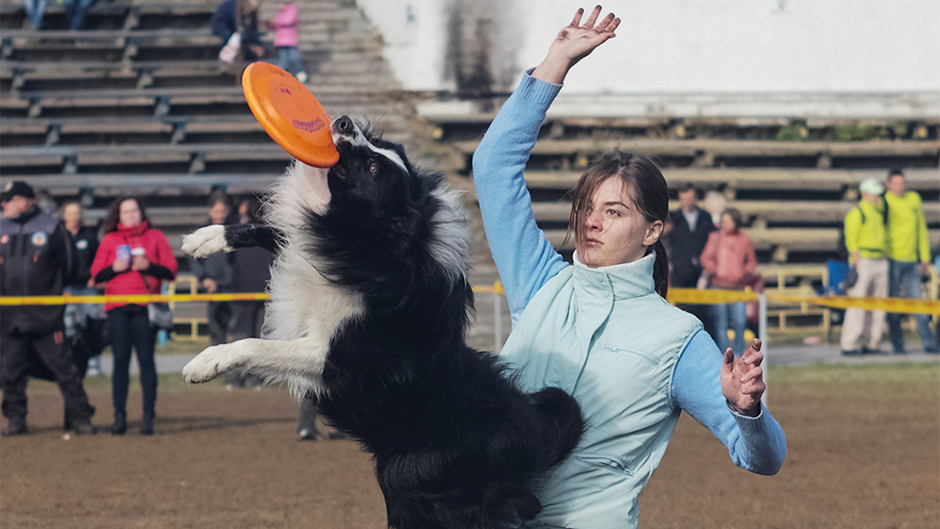 2017-10-07T173617Z_1982570476_RC1A2E735590_RTRMADP_3_UKRAINE-ANIMALS 1