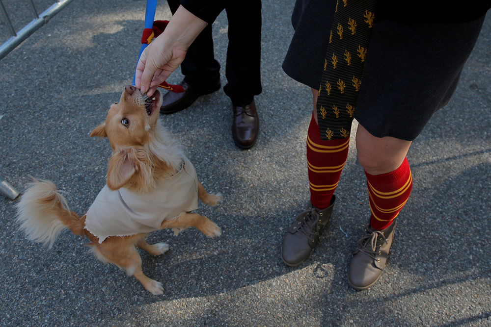 REUTERS/Lucas Jackson