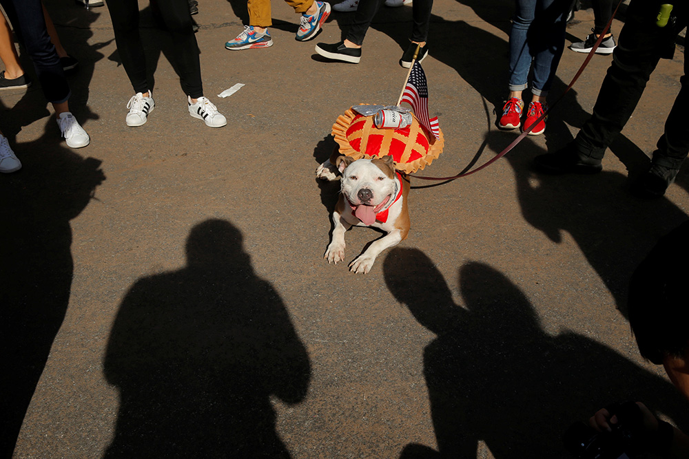 REUTERS/Lucas Jackson