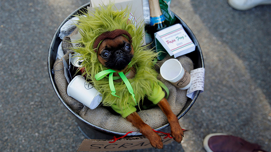 2017-10-21T214501Z_269580743_RC146BA29190_RTRMADP_3_USA-HALLOWEEN 1