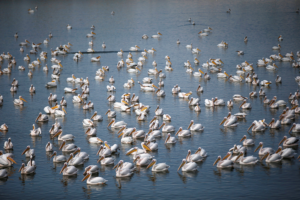 REUTERS/Ronen Zvulun