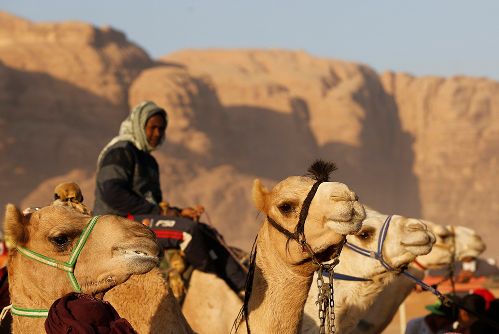 REUTERS/Muhammad Hamed