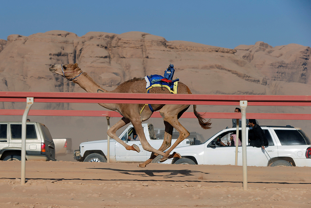 REUTERS/Muhammad Hamed